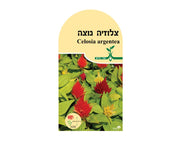 צלוזיה נוצה | כ-50 זרעים