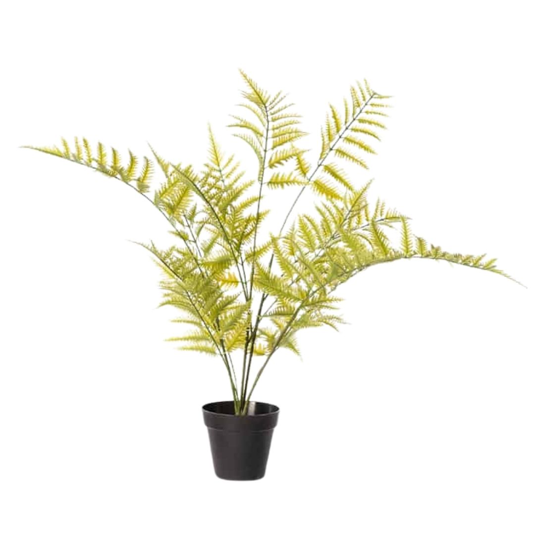 שרך דבליה | מלאכותי