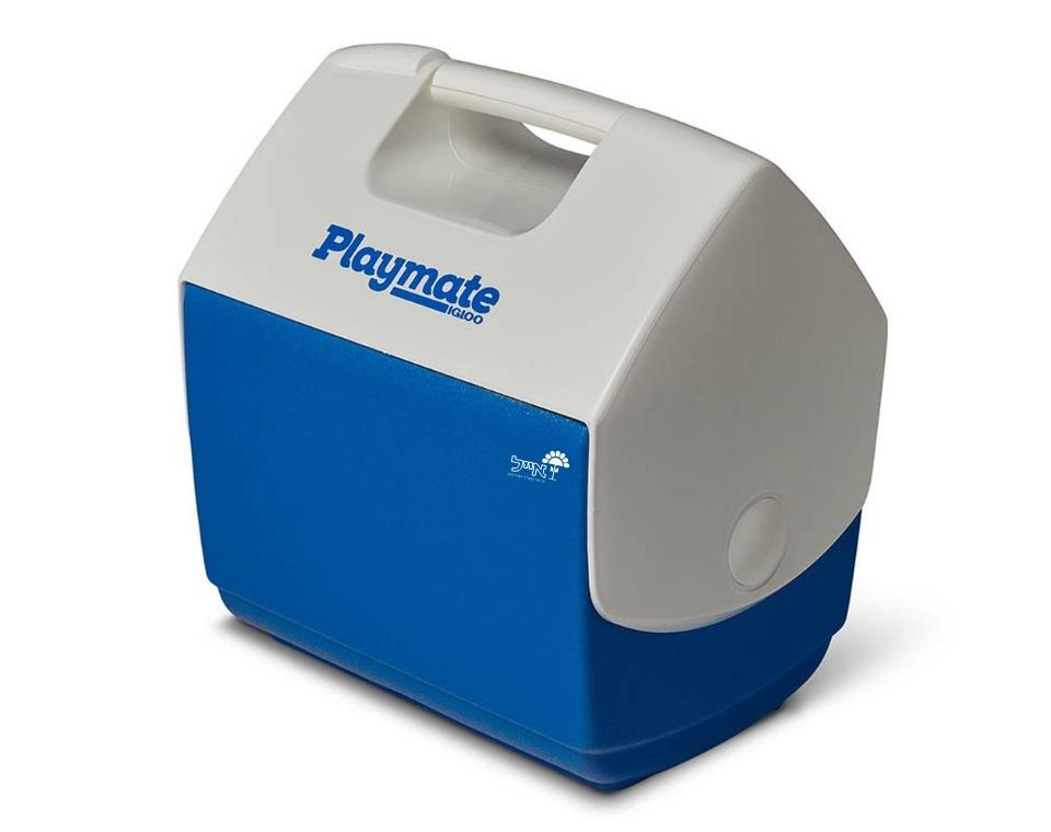 צידנית קשיחה | 6 ליטר | כחול