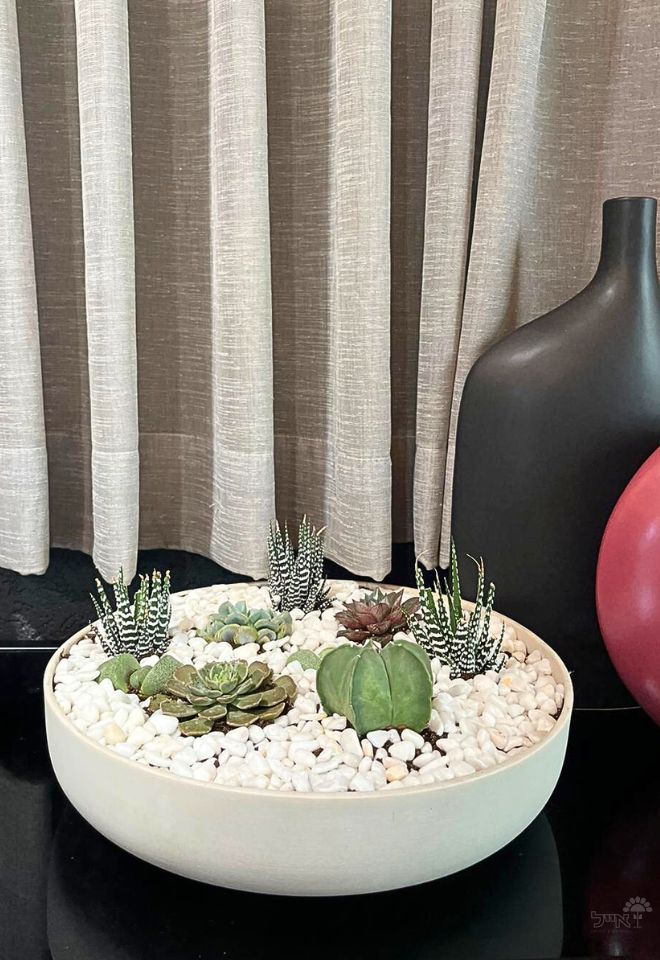 קערת סקולנטים נמוכה | גדולה | לבן מאט