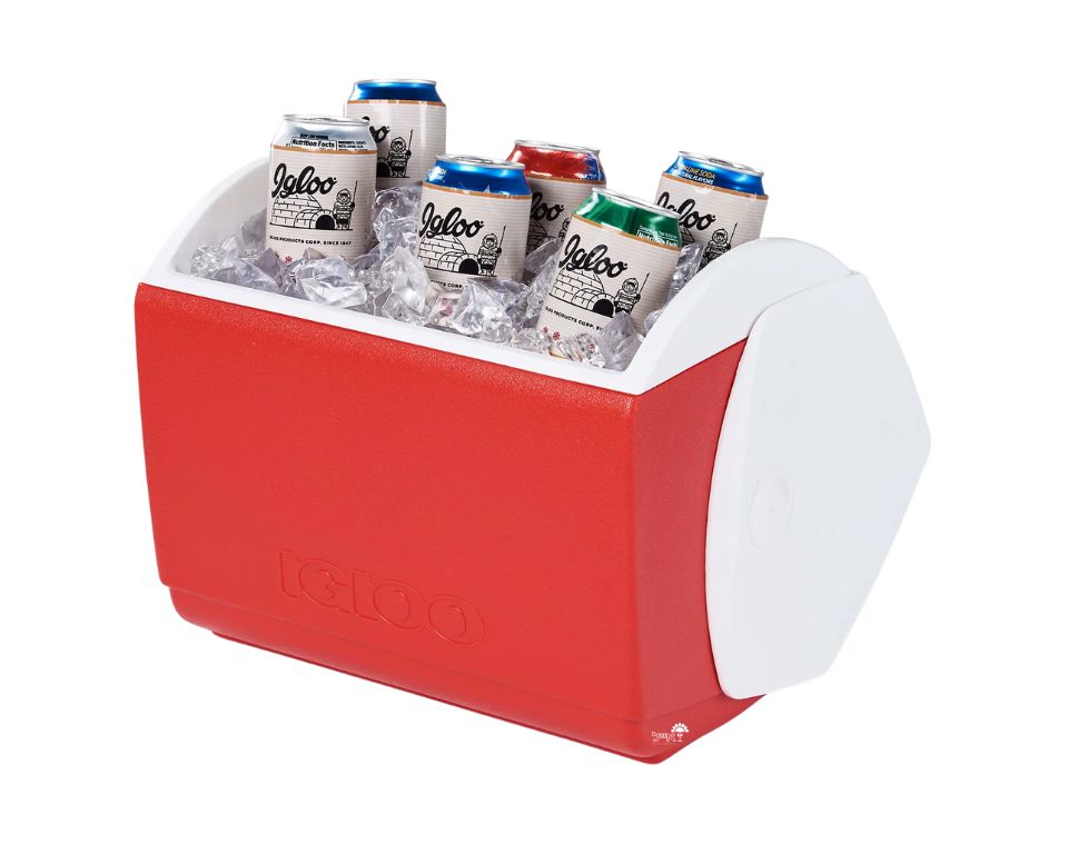 צידנית קשיחה | 15 ליטר | אדום