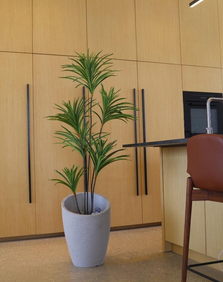 כד קליאופטרה | 54 ס״מ | צמח דרצנה מלאכותי