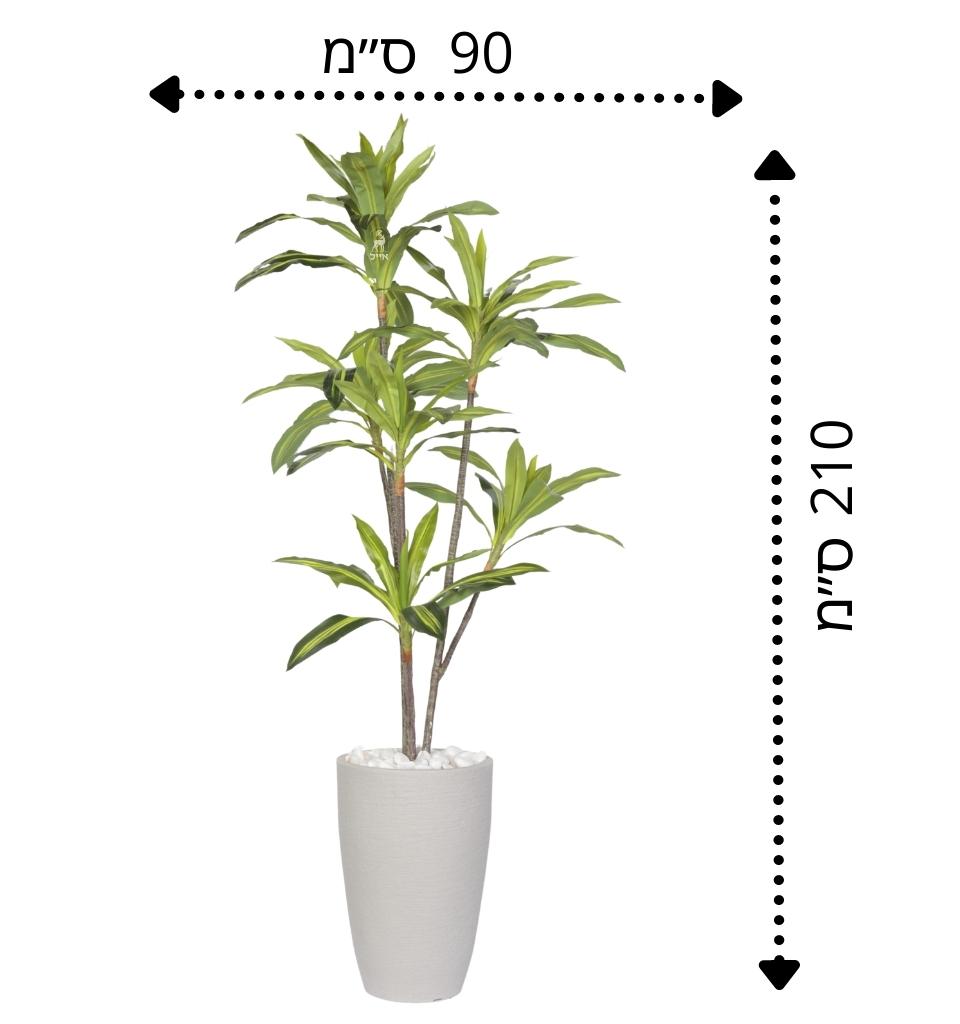 דרצנה מגוונת מלאכותי| כד פמילי | 2.10 מטר