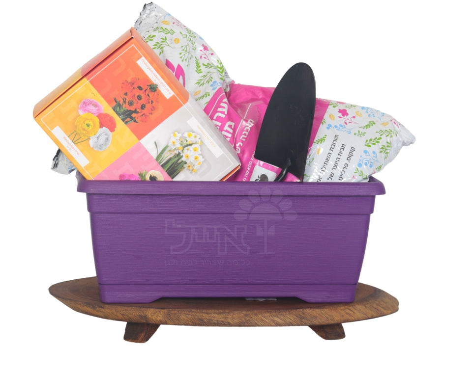 מארז שתילה לילדים | מכיל פקעות, אדנית, אדמה, כף שתילה