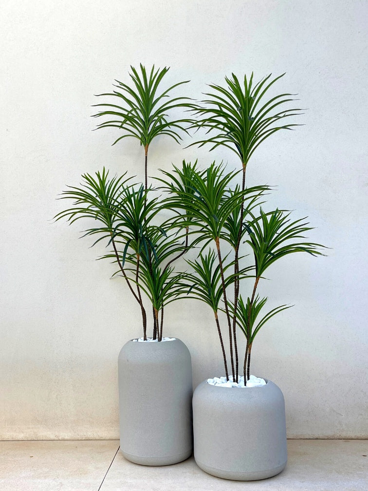 דרצנה מלאכותית | בכדי קולומבוס ואורגון | מחיר לזוג | דגם 427