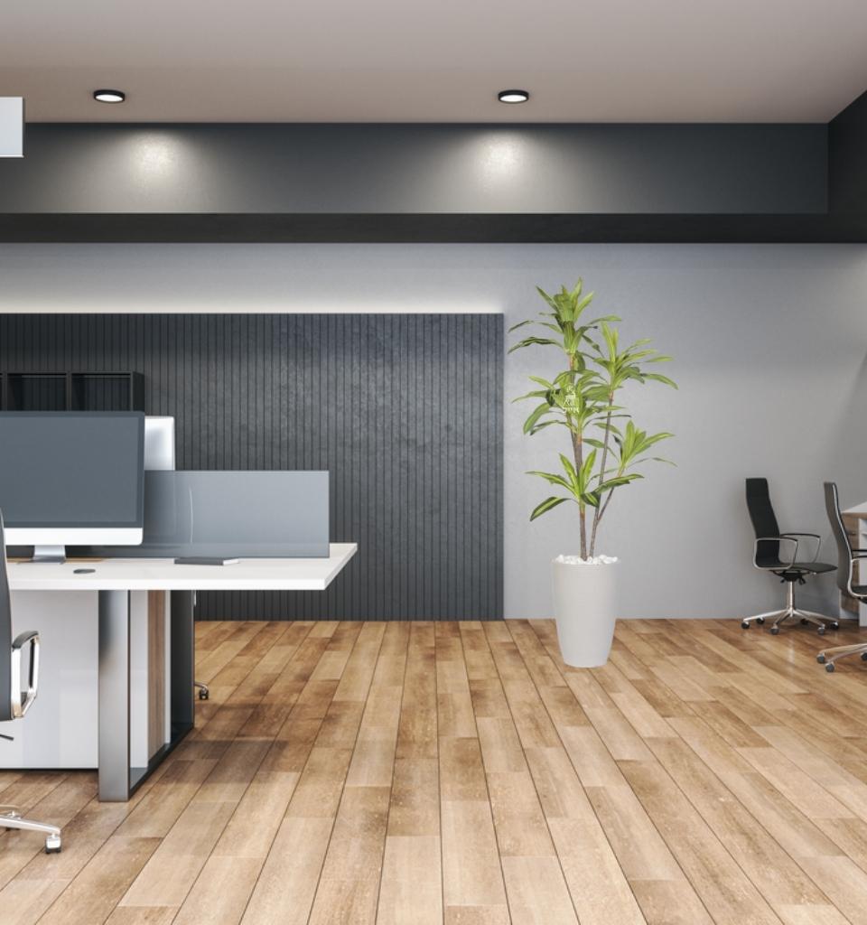 דרצנה מגוונת מלאכותי| כד פמילי | 2.10 מטר