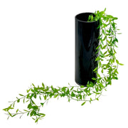 עלים נשפכים עדינים