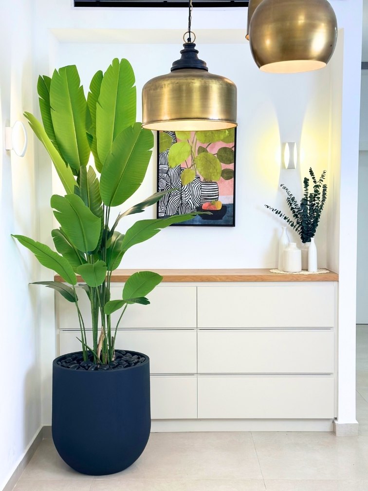 ציפור גן עדן | כד אגס גדול | גובה 2.20 מטר