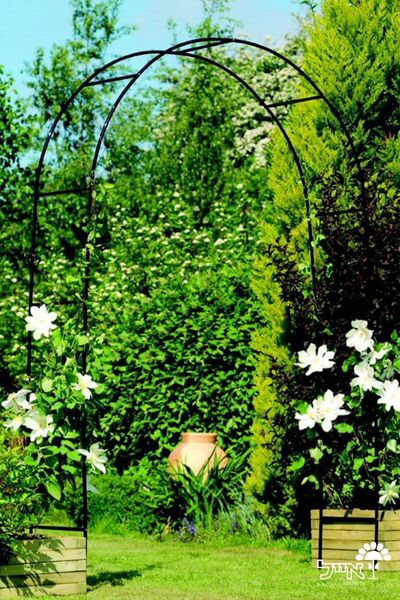 קשת ברזל לטיפוס צמחים | 240X140 | דגם ורד | שחור