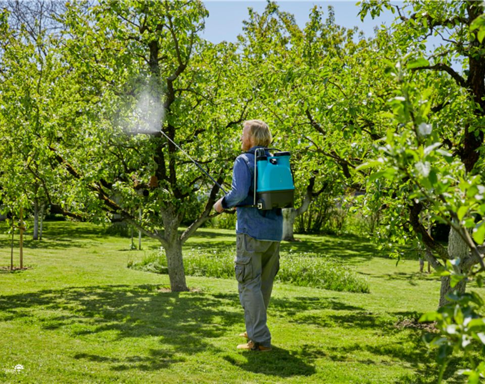 מרסס גב | 12 ליטר