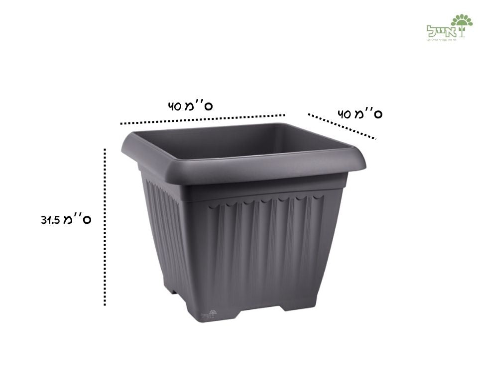 מרובע קורפו | פחם | 40X40