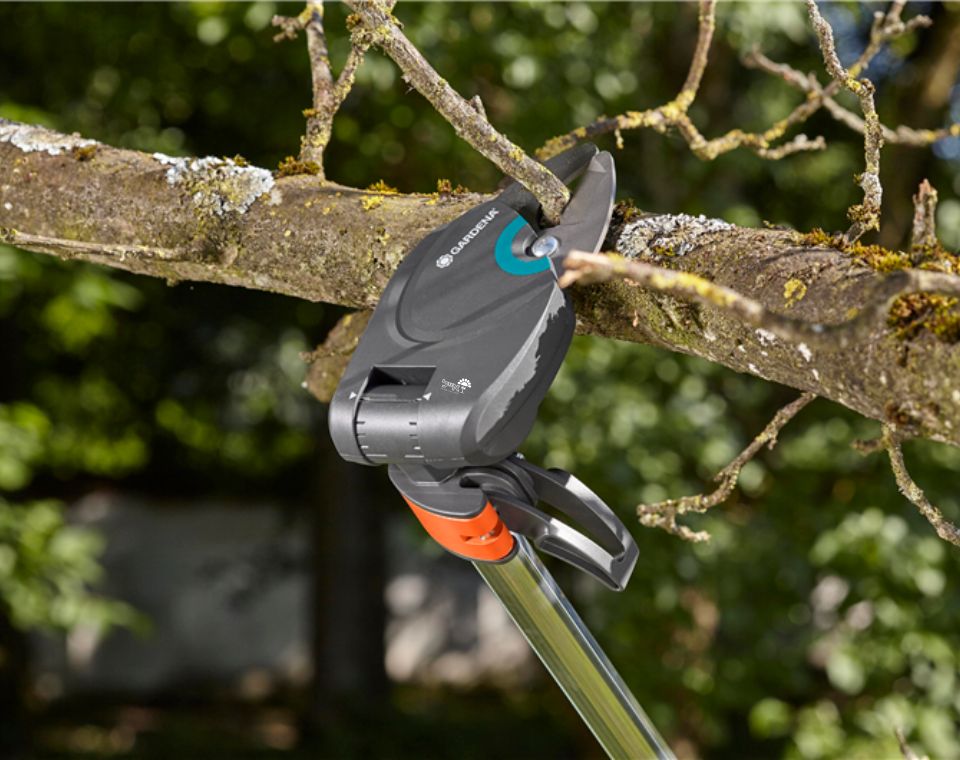 מזמרת גובה | גובה 230-650 ס"מ | דגם SratCat 410 plus