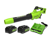 מפוח עלים 48V(2X24V) Brushless עם שתי סוללות 5.0Ah + שקע USB מטען מהיר Dual Port (4A)