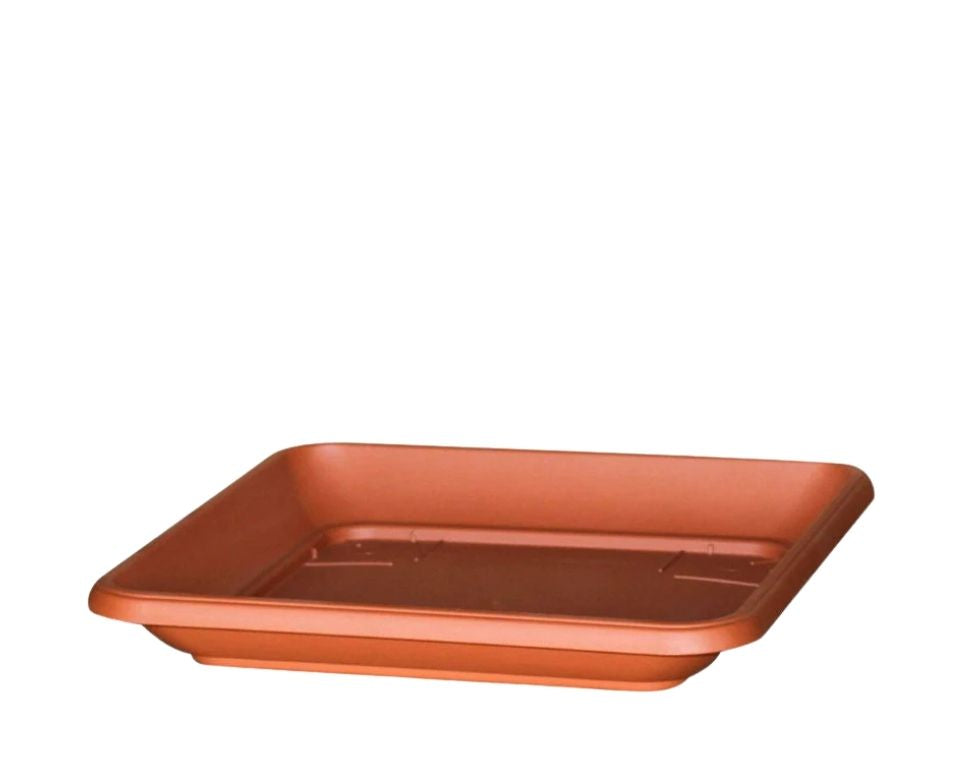 צלחת | תחתית מרובעת | טרקוטה | 41X41