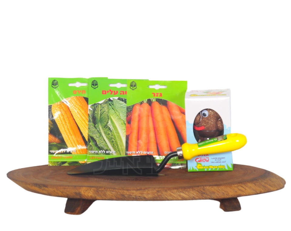 מארז מתנה לילדים | מכיל 3 זרעי ירקות, ראש דשא, כף שתילה