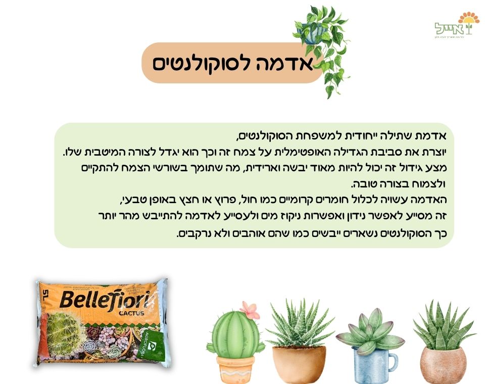 אדמה לסוקולנטים | 5 ליטר