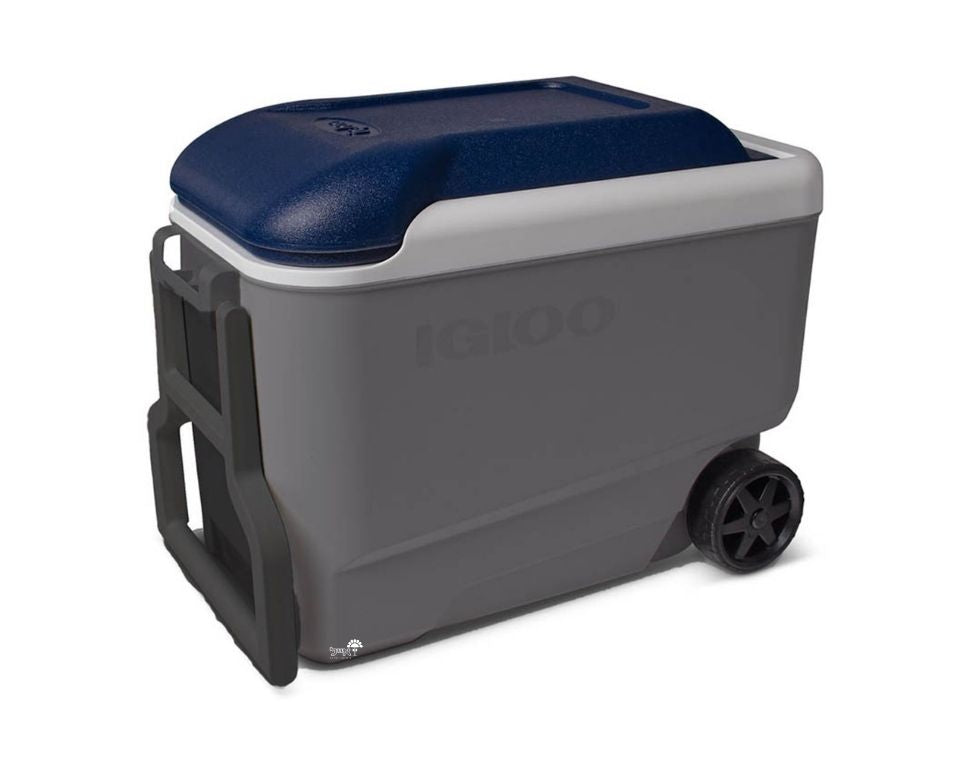 צידנית עם גלגלים | 37 ליטר | MAXCOLD | אפור