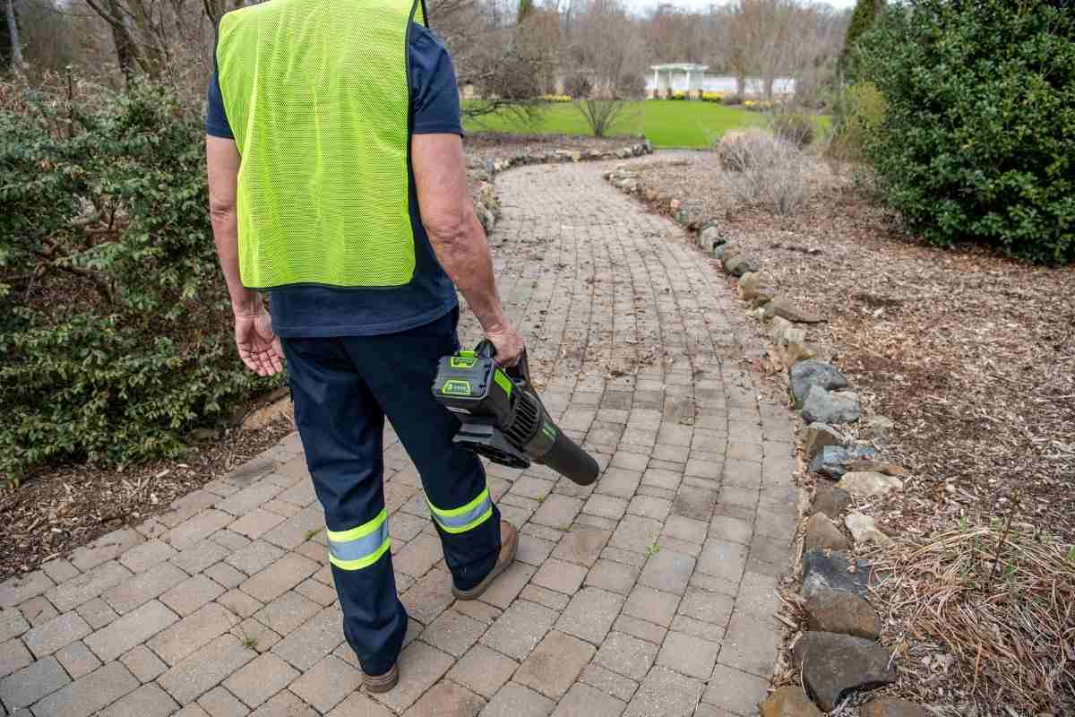 מפוח עלים 80V PRO (חדש) | 2 סוללות 2.0Ah | מטען מהיר