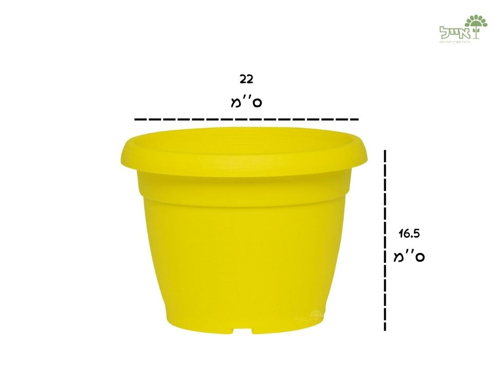 עציץ צבר | צהוב | קוטר 22 ס״מ