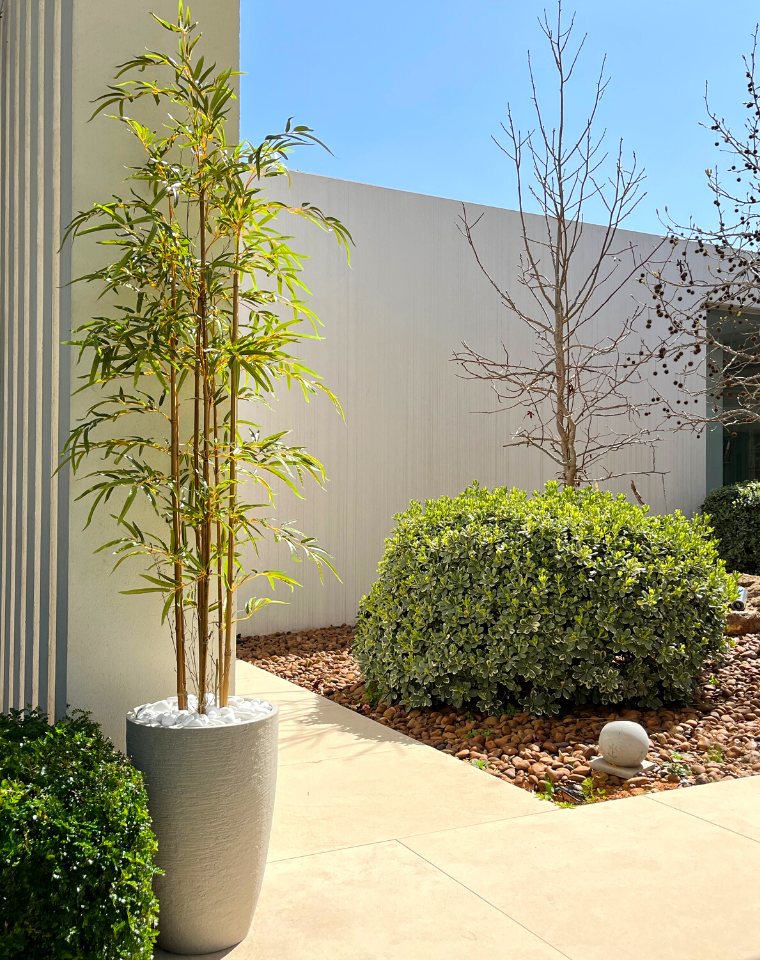 כד פמילי | 55 ס"מ | עץ במבוק מלאכותי