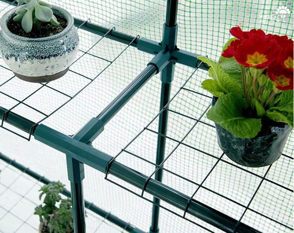 חממה ביתית הכוללת מדפים וכיסוי | דגם 1602 | 143X143 | ירוק