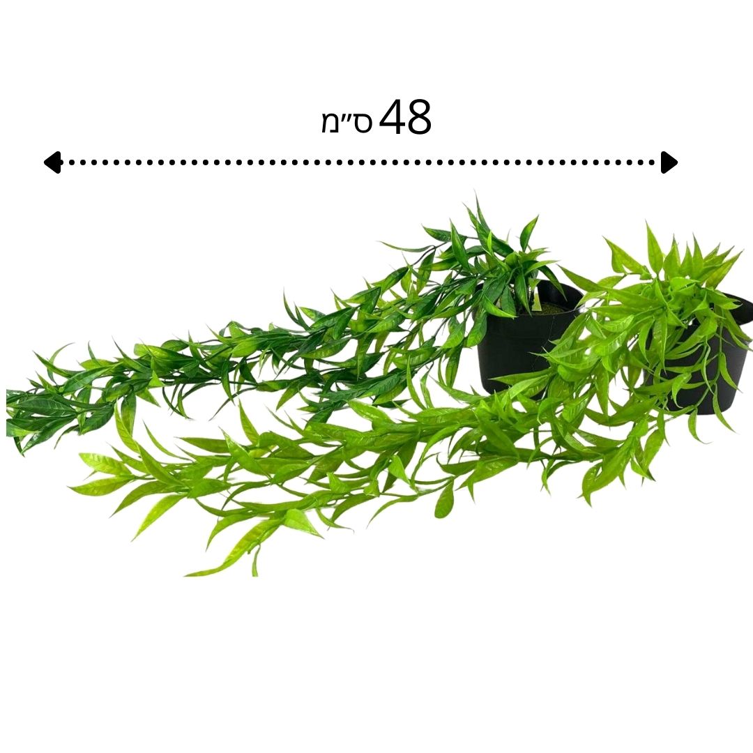 עציץ נשפכים פסטורלי