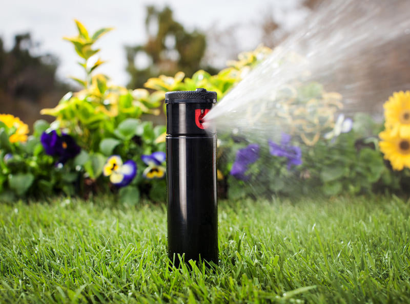 ממטיר גיחה | Hunter | PGP