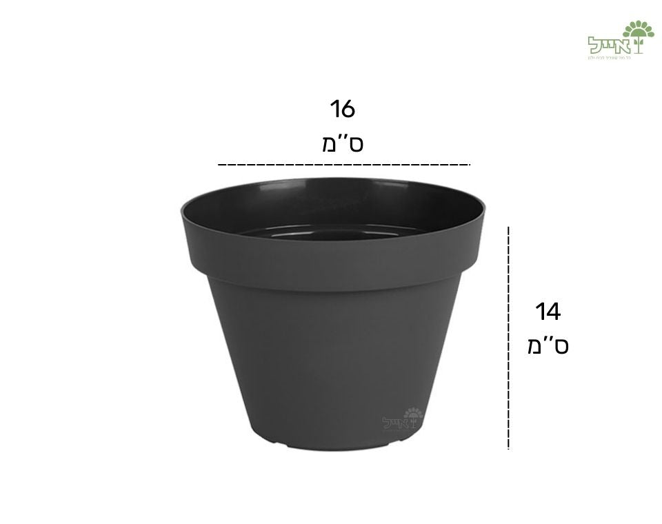 עציץ אביב | פחם | קוטר 16 ס"מ
