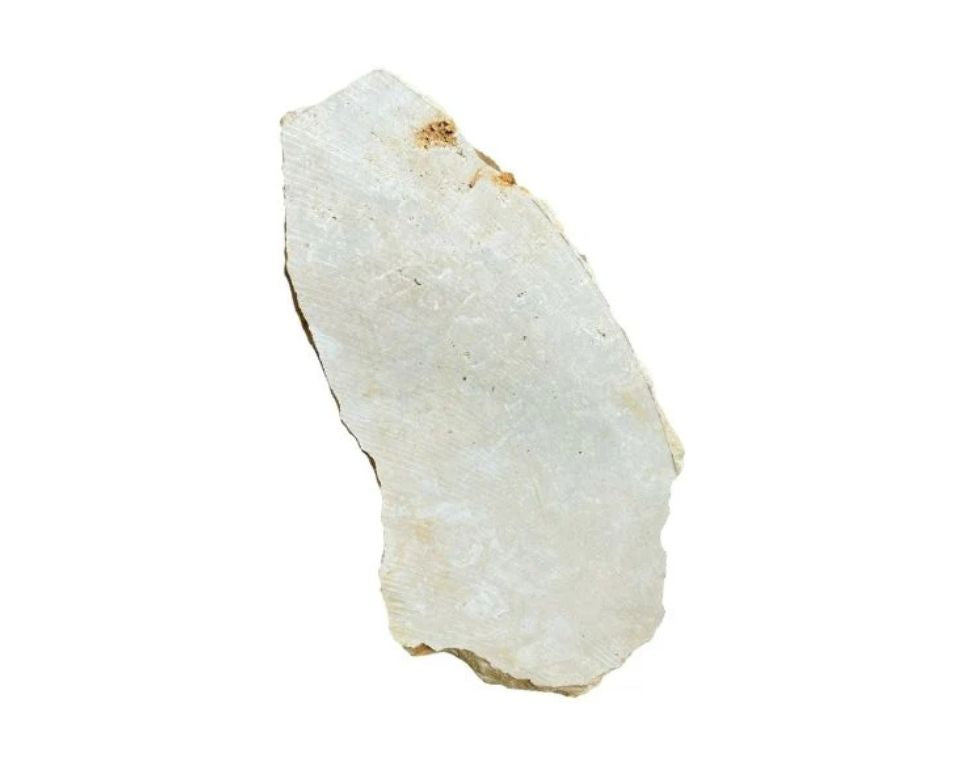 אבן מדרך טבעית לגינה | בז'