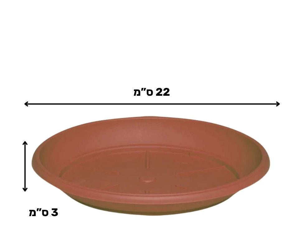 צלחת ערד | תחתית בקוטר 22 ס"מ | גובה 3 ס"מ | טרקוטה