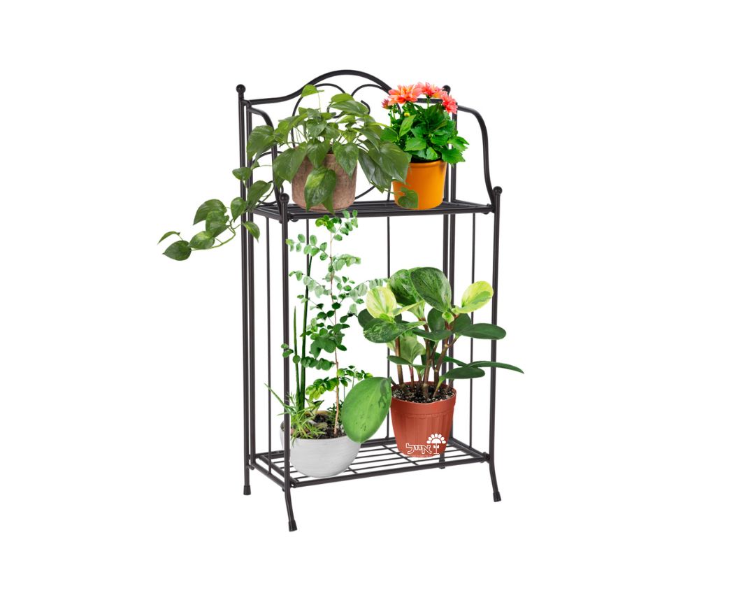 מעמד ברזל מעוטר לעציצים | 2 קומות | דגם 38000260 | 65X34 | שחור