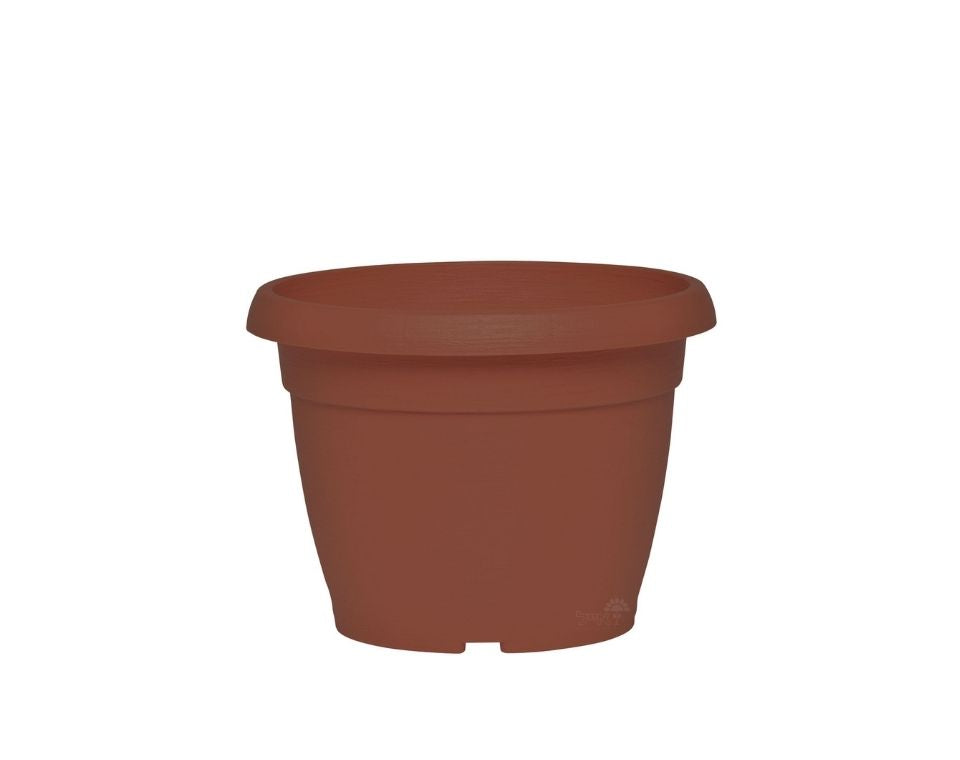 עציץ צבר | טרקוטה | קוטר 22 ס״מ