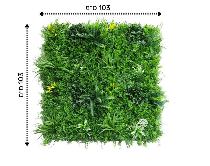 קיר ירוק מודולרי - עלה משולב מתפרץ | 50/50 ס״מ