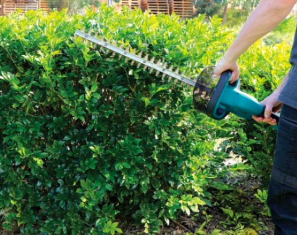 גוזם גדר חיה | MAKITA | DUH523Z