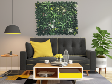 קיר ירוק מתכוונן - עלה משולב לבן ורוד | 50/50 ס״מ