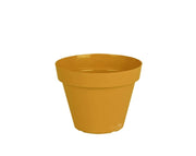 עציץ אביב | חרדל | קוטר 14 ס"מ