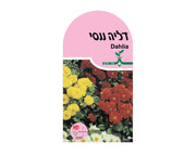 דליה ננסי | כ-15 זרעים