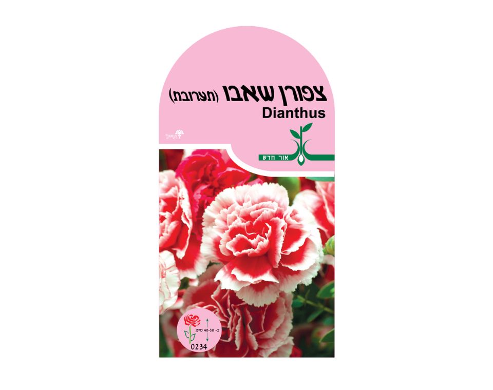 ציפורן שאבו | כ-50 זרעים