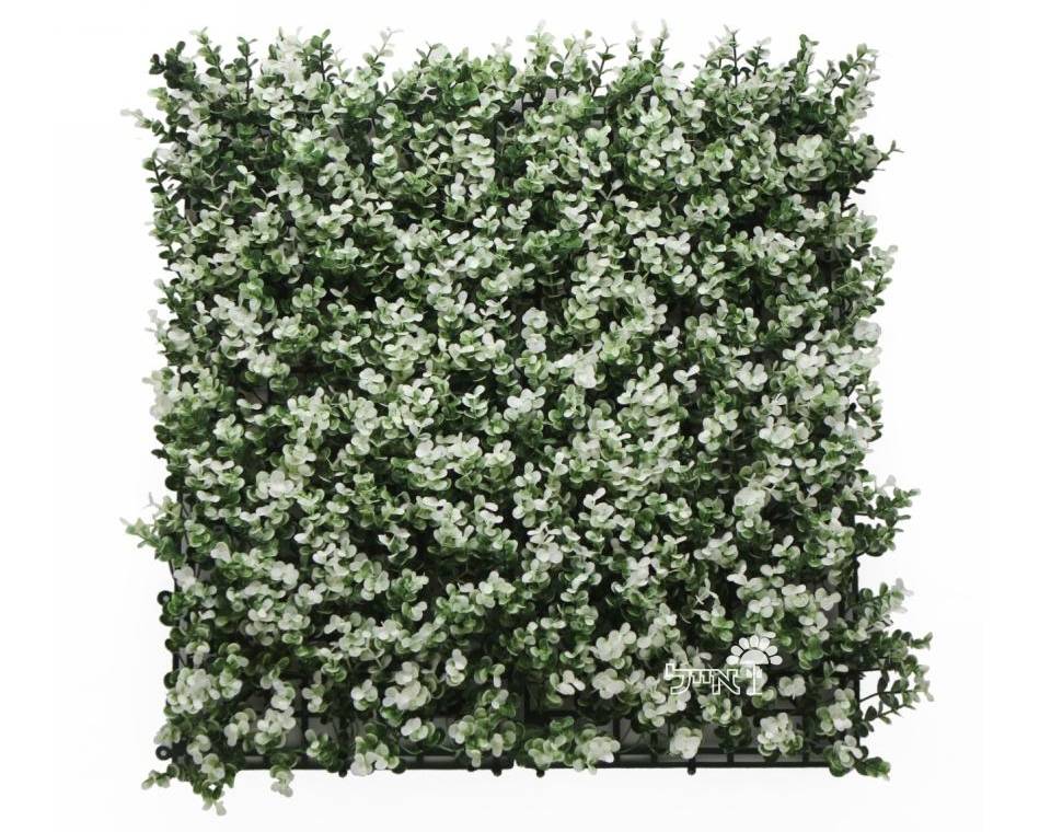 קיר ירוק מתכוונן - פרח לבן |50/50 ס״מ