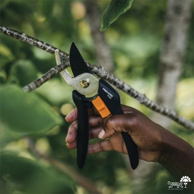 מזמרה מקצועית  | P121 | חיתוך מקסימלי 2\1 אינצ