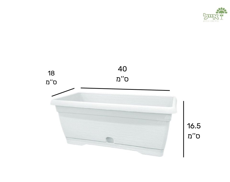 אדנית צבר | לבן | 40 ס״מ
