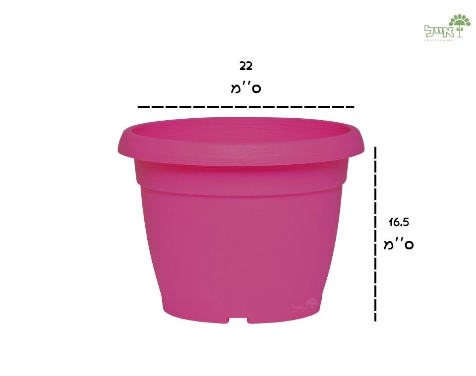 עציץ צבר | ורוד פוקסיה | קוטר 22 ס״מ