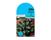 נענע | כ-50 זרעים