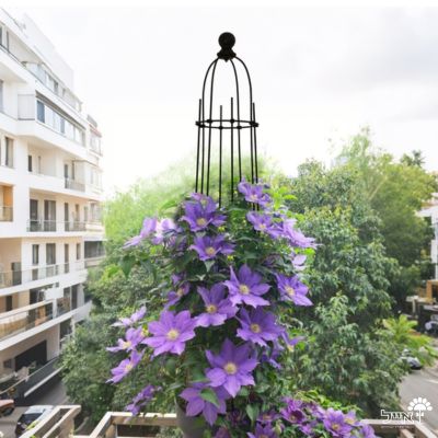 זוג מתקני הדליה לתמיכת צמחים | 20X113 | דגם 224 | שחור