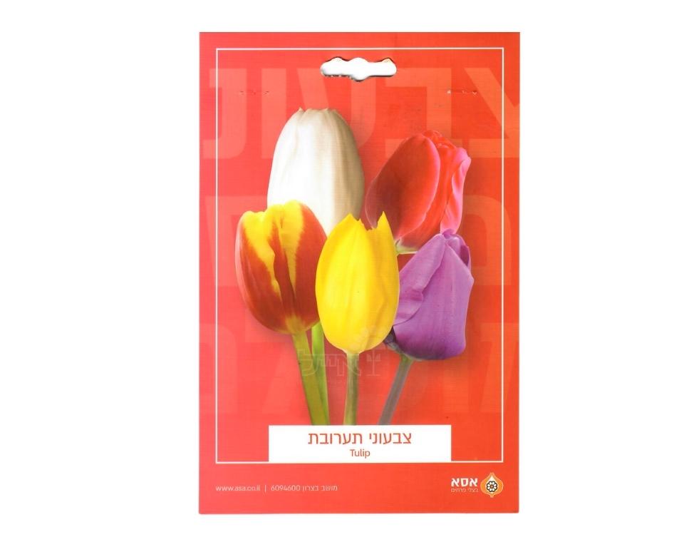 מארז פקעות | תערובת צבעוני | 6-30 יחידות