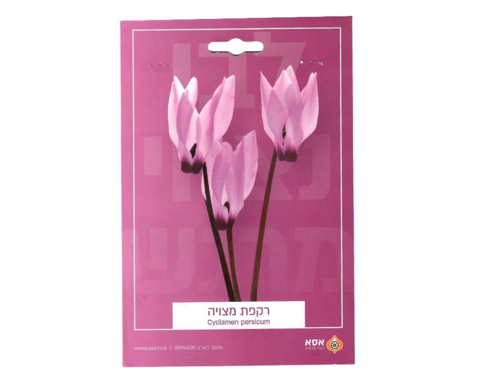 רקפת מצויה | 1 יחידה