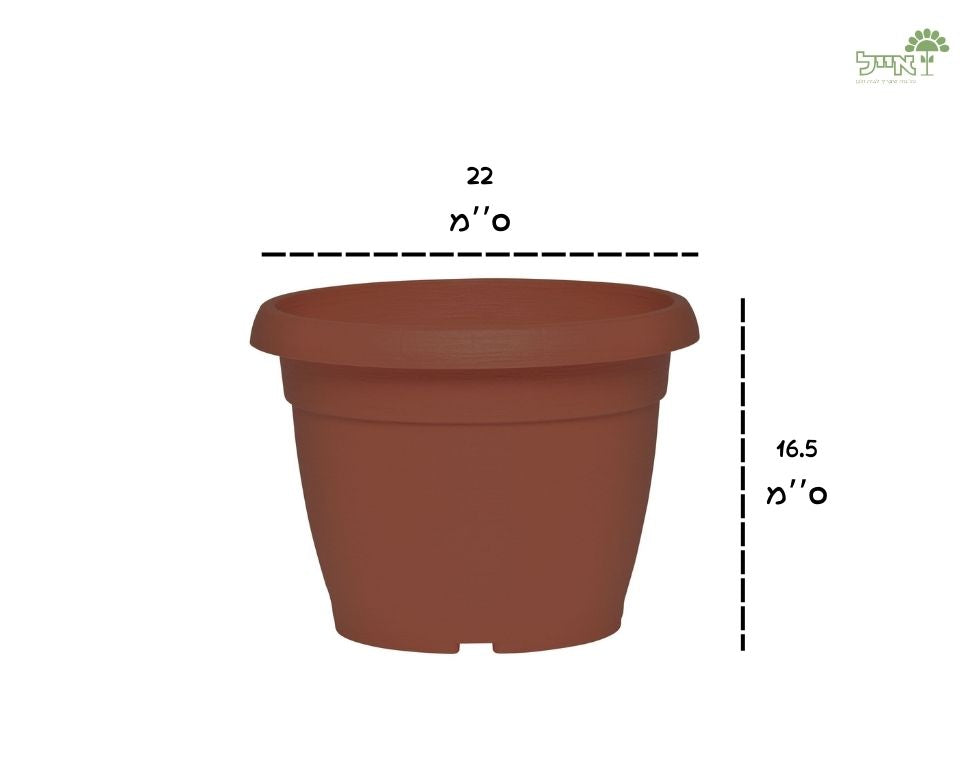 עציץ צבר | טרקוטה | קוטר 22 ס״מ
