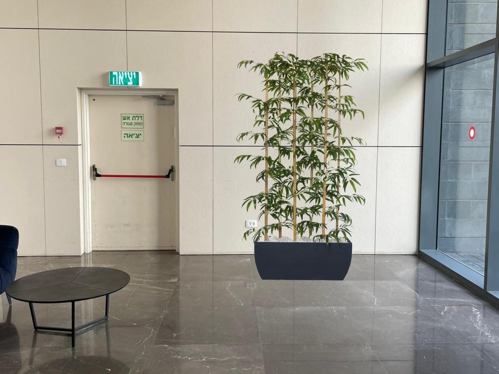 אדנית גונדולה גדולה ו6 מוטות במבוק | גובה 220 ס"מ