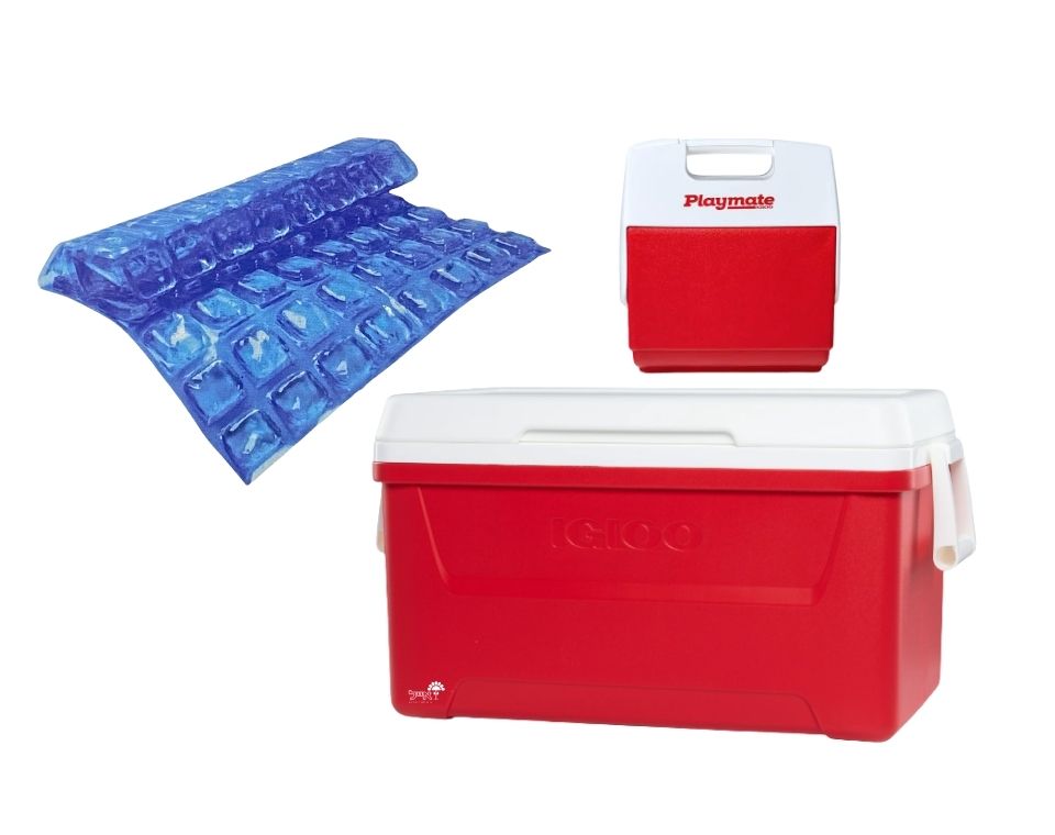 קומבו סט 2 צידניות + משטח קרח