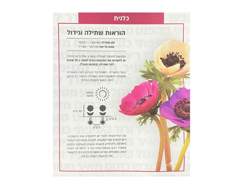 תערובת כלנית | 10 יחידות